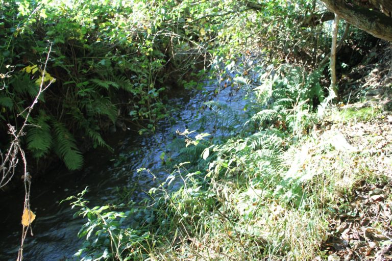 The Bracken River at the southern boundary of the Tan Yard.