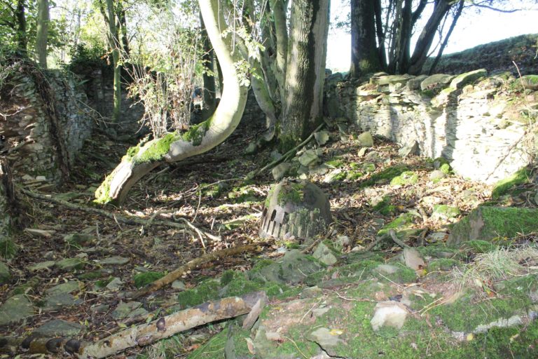 Remains of the building interpreted as the bark mill house at the Tubberneering Tan Yard. A surviving cast-iron component of the bark mill can be seen within the ruins.