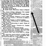 Wexford People - 1 October 1887
