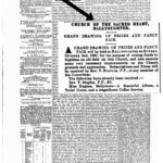 Wexford People - 13 August 1887