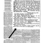 Wexford People - 21 September 1887