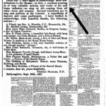 Wexford People - 5 October 1887