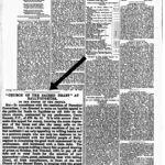 Wexford People - 6 August 1887