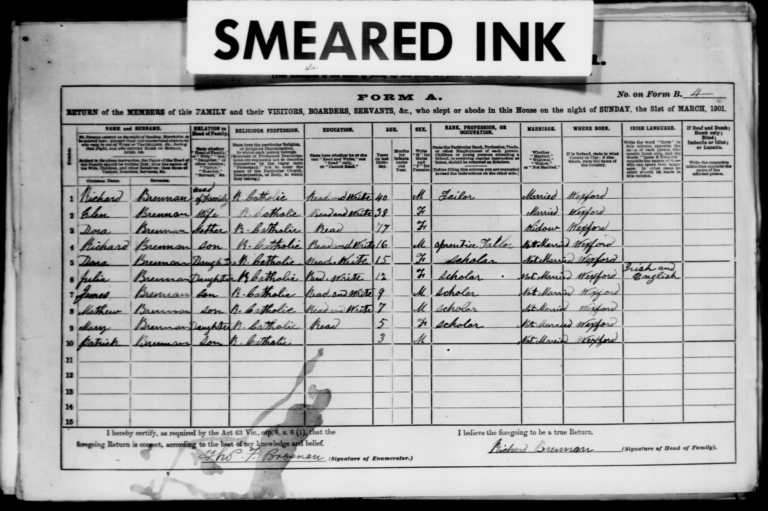 The Brennan household in the 1901 Census. Richard Brennan is recorded as a tailor and his 16-year-old son Richard as an apprentice tailor.