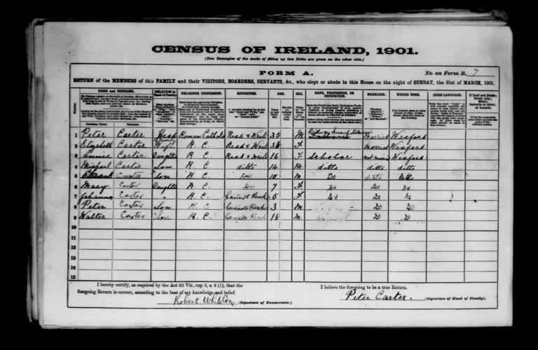1901 Census - Carter Household - Ballyoughter